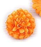 Marigold Flowers